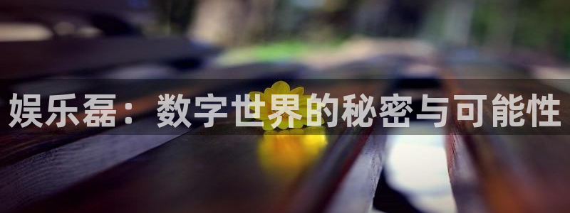 壹号娱乐：娱乐磊：数字世界的秘密与可能性