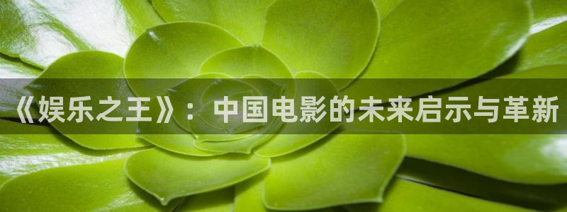 壹号娱乐,apk.：《娱乐之王》：中国电影的未来启示与革新