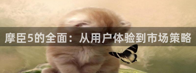 壹号娱乐.com：摩臣5的全面：从用户体验到市场策略