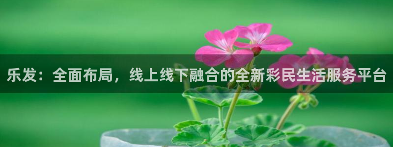 壹号app下载官网娱乐：乐发：全面布局，线上线下融合的全新彩民生活服务平台