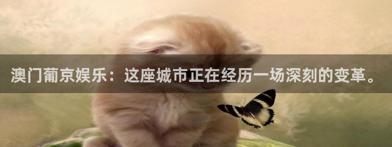 壹号娱乐强制退款流程详解：澳门葡京娱乐：这座城市正在经历一场深刻的变革。