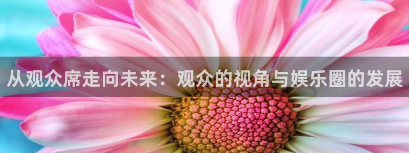壹号娱乐官方app下载安装：从观众席走向未来：观众的视角与娱乐圈的发展