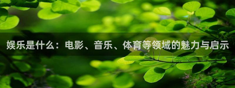 壹号娱乐app官网下载：娱乐是什么：电影、音乐、体育等领域的魅力与启示