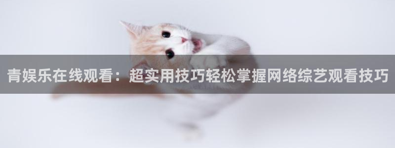壹号娱乐(com.youad.authst)