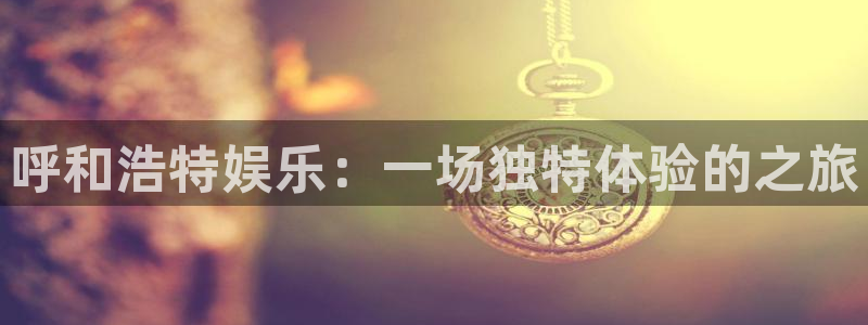 壹号娱乐充值怎么退款：呼和浩特娱乐：一场独特体验的之旅