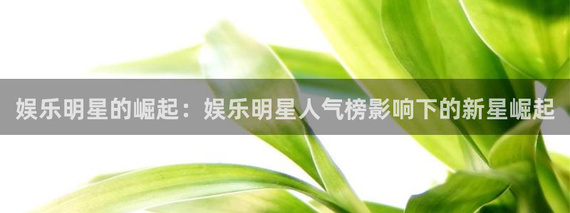 壹号娱乐官方app下载安装：娱乐明星的崛起：娱乐明星人气榜影响下的新星崛起