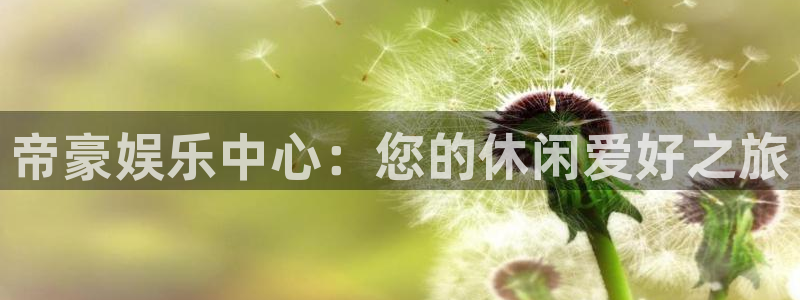 壹号大舞台：帝豪娱乐中心：您的休闲爱好之旅