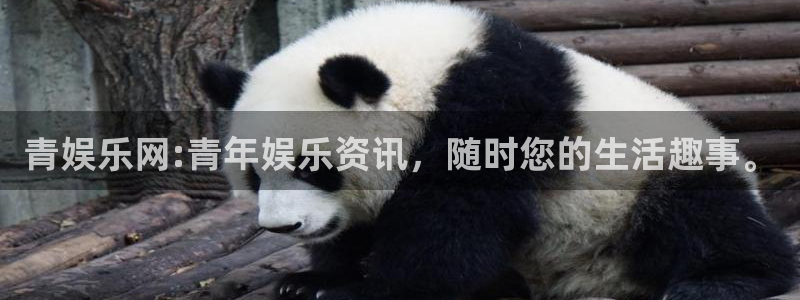 壹号娱乐官方网站下载