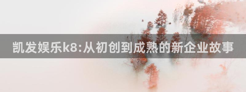 壹号官网app下载安装：凯发娱乐k8:从初创到成熟的新企业故事