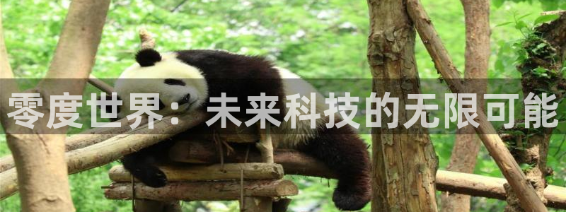 壹号下载安装：零度世界：未来科技的无限可能