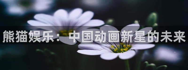 壹号app官网：熊猫娱乐：中国动画新星的未来