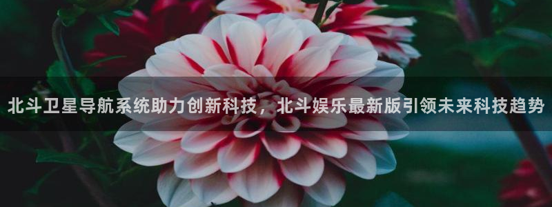 壹号娱乐app下载安装最新版：北斗卫星导航系统助力创新科技，北斗娱乐最新版引领未来科技趋势