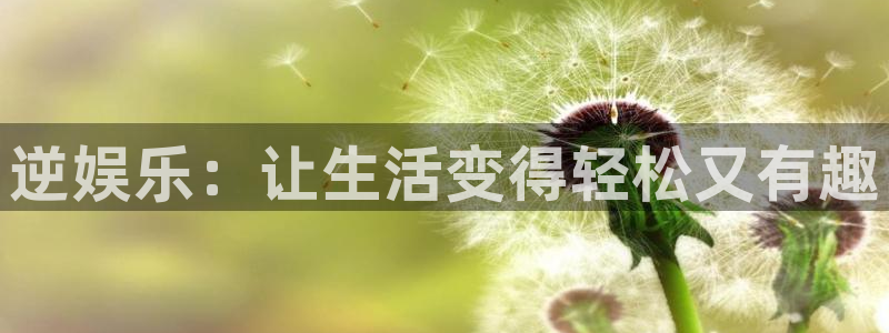 壹号娱乐app官网下载苹果