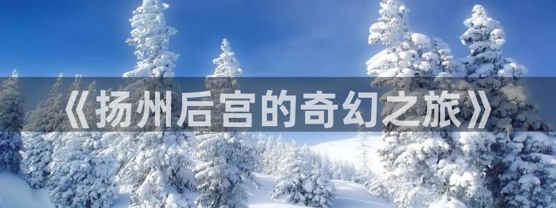 壹号电子娱乐app下载官网：《扬州后宫的奇幻之旅》