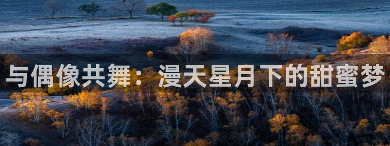 壹号大舞台官网入口：与偶像共舞：漫天星月下的甜蜜梦