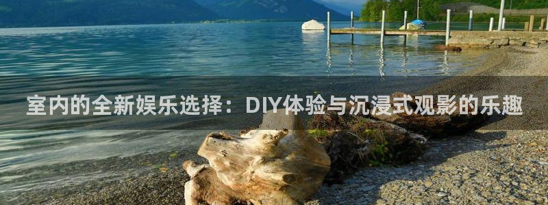 壹号大舞台娱乐app下载安装：室内的全新娱乐选择：DIY体验与沉浸式观影的乐趣
