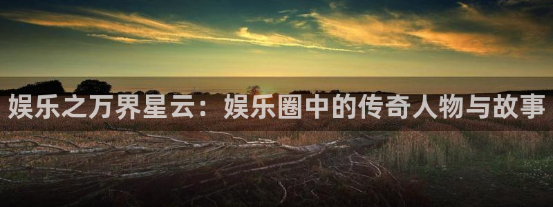 壹号大舞台有梦你就来：娱乐之万界星云：娱乐圈中的传奇人物与故事