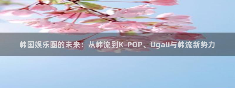 壹号大舞台官网入口：韩国娱乐圈的未来：从韩流到K-POP、Ugali与韩流新势力