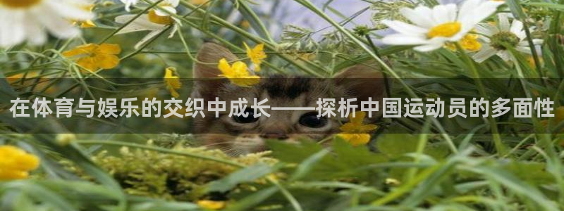 壹号娱乐能退款吗：在体育与娱乐的交织中成长——探析中国运动员的多面性