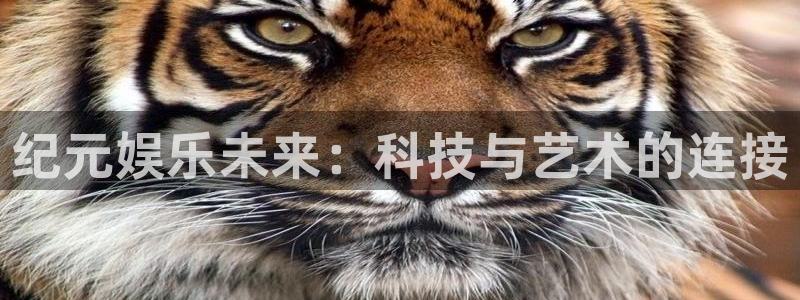壹号娱乐app下载安装最新版：纪元娱乐未来：科技与艺术的连接