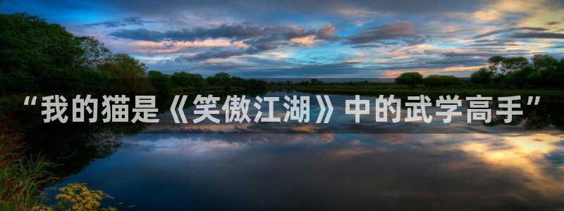 壹号娱乐充值怎么退款：“我的猫是《笑傲江湖》中的武学高手”