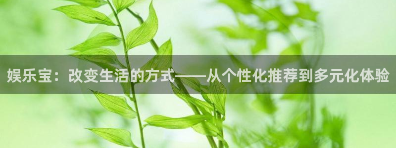 壹号大舞台28国际大舞台：娱乐宝：改变生活的方式——从个性化推荐到多元化体验
