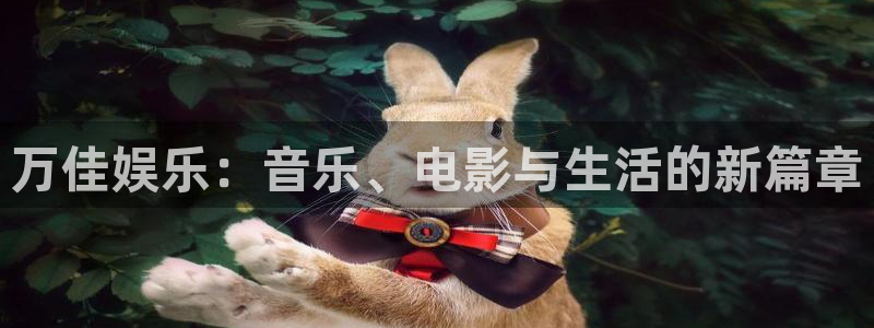 壹号娱乐吧：万佳娱乐：音乐、电影与生活的新篇章