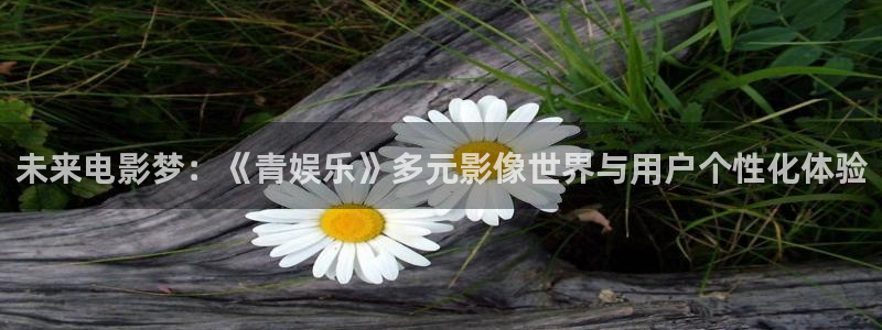 壹号注册入口app下载：未来电影梦：《青娱乐》多元影像世界与用户个性化体验
