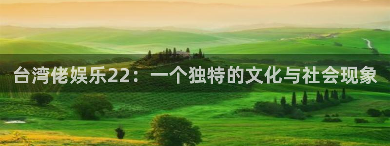 壹号大舞台下载：台湾佬娱乐22：一个独特的文化与社会现象