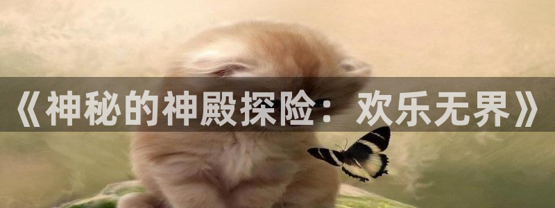 壹号平台app下载安装：《神秘的神殿探险：欢乐无界》