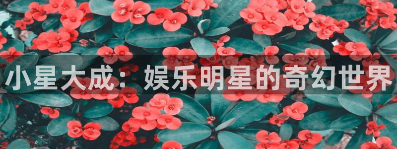 壹号大舞台怎么下载：小星大成：娱乐明星的奇幻世界