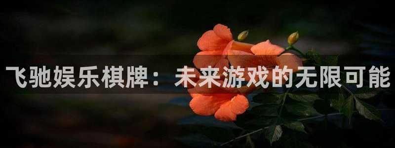 壹号娱乐app下载：飞驰娱乐棋牌：未来游戏的无限可能