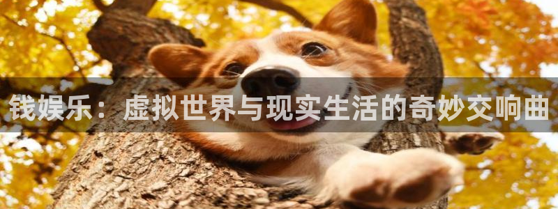 壹号娱乐,com：钱娱乐：虚拟世界与现实生活的奇妙交响曲